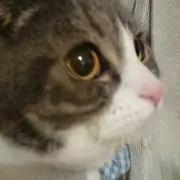 うらら⭐︎⭐︎⭐︎土日祝日発送休みの画像