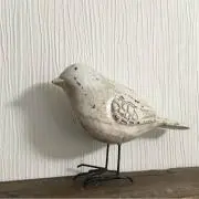Cotorin＊の画像
