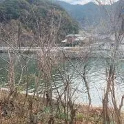 トーレスの画像