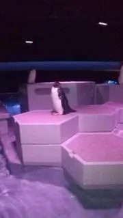 キスロボ