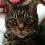 ☺福ちゃん☺️の画像
