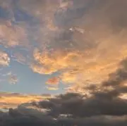 Jの画像