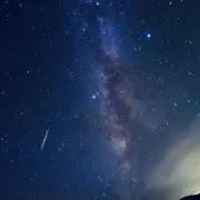 茶葉の画像