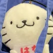 あのうみの画像