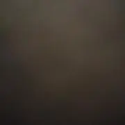 はなの画像