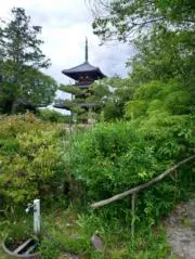 Couzenの画像