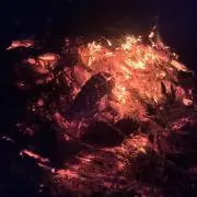 肉肉まんの画像