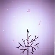 杏'sの画像