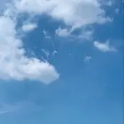 ぼん【プロフご確認ください】の画像