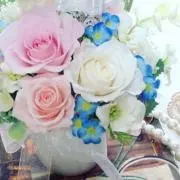 chiaの画像