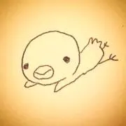ぴよ