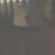 まいの画像