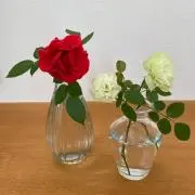 まいみょんの画像