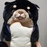 ohiruの画像