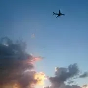 うさぎの画像