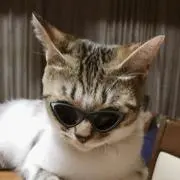 トラミママの画像