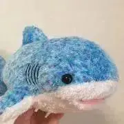 まかろん（プロフ読んでください）の画像