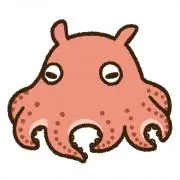 ぴむこの画像