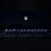 mstの画像