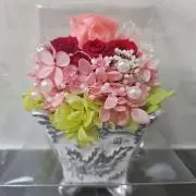 もとやひみの画像