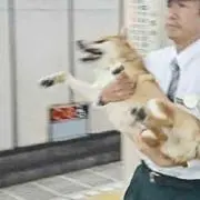 山田