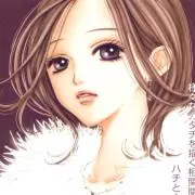 マーガレットの画像