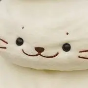 shiroの画像
