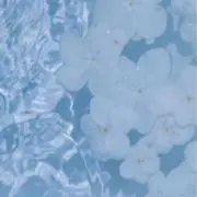 きな