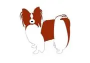 うーさん*プロフィール確認してね*の画像