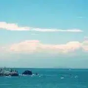 alohaの画像