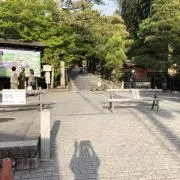 しぃの画像