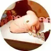 うにの画像