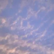 sakiの画像