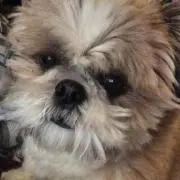 Emi