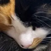 MELODY♪405の画像