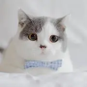 ゆう︎︎︎︎☺︎