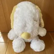 umeko5の画像