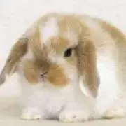 な さんの画像