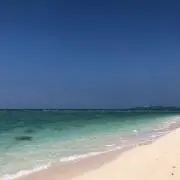 Sherryの画像