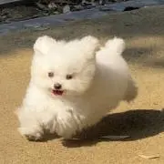 mmの画像
