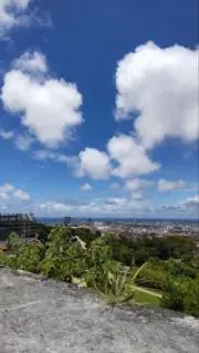 ニャンコの画像