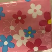 ねこちゃん