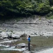 ほーんの画像