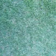 ジェダイ