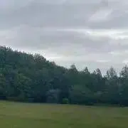 木下