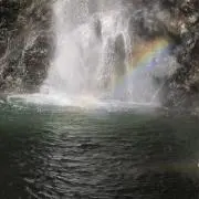 RAINBOWの画像