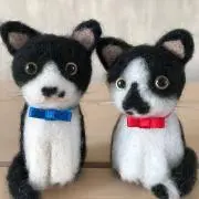 はっちの画像
