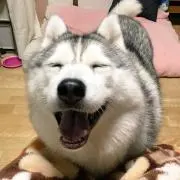 あくあん