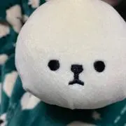 おもちの画像