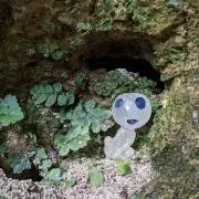 ちょこいとの画像